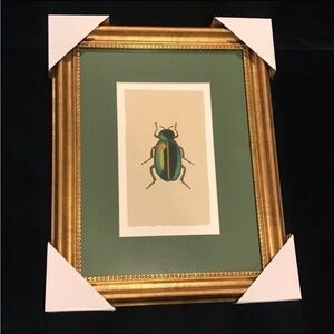 11"x14" Gold Foil Beetle Poster Framed Wall Art Print - Rifle Paper Co.